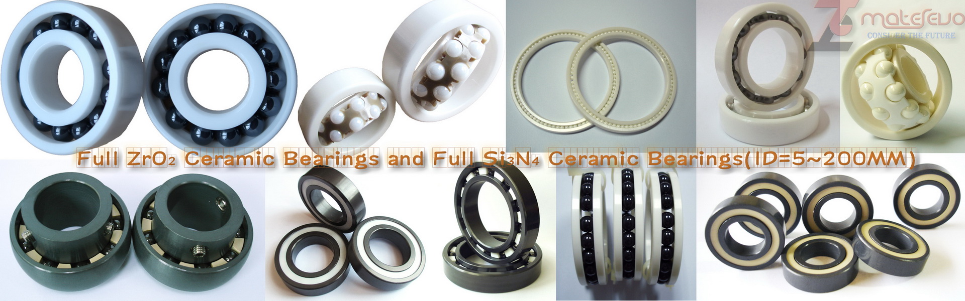 Full Ceramic Bearing